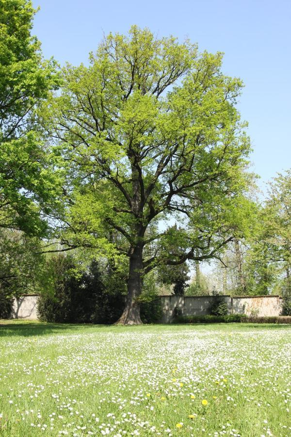 Storica Quercia B&B Nerviano Zewnętrze zdjęcie